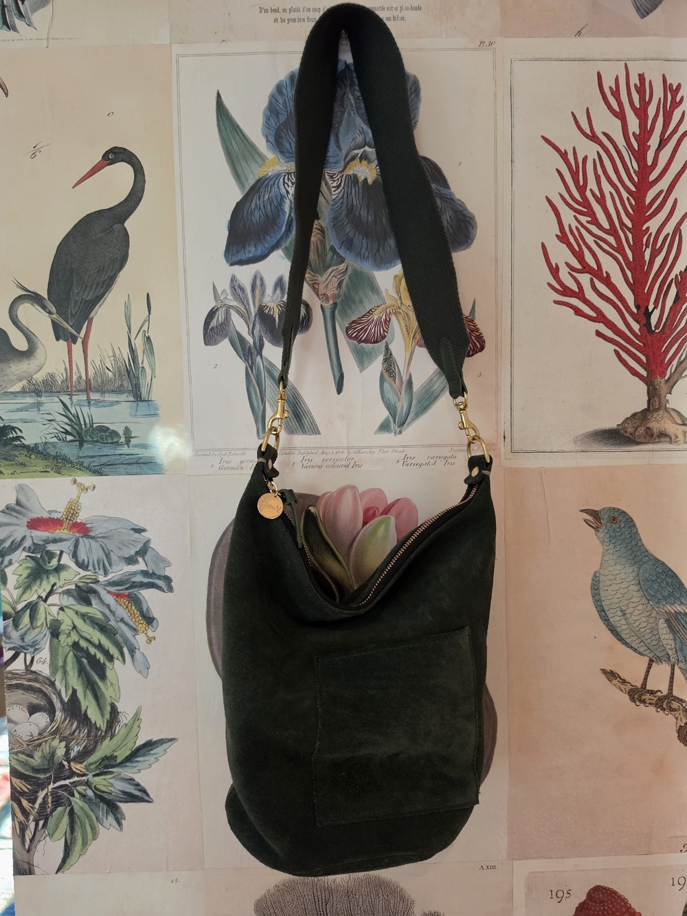 Clare V.

Suede Petite Jeanne in Loden Green